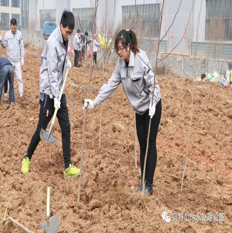 貝特環保開展“積極參加義務植樹，建設美麗貝特環保”活動